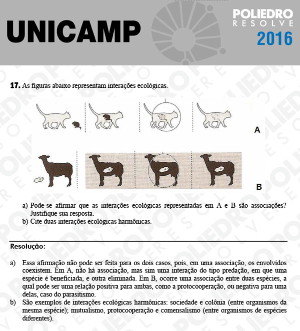 Dissertação 17 - 2ª Fase 3º Dia - UNICAMP 2016