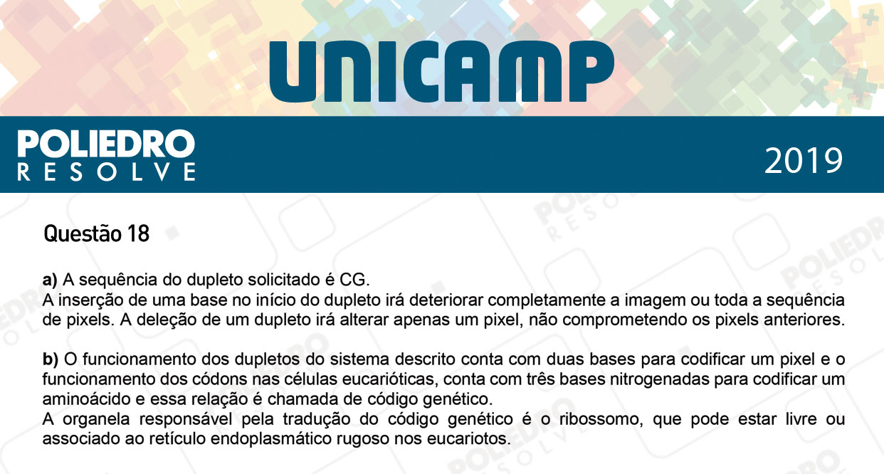 Dissertação 18 - 2ª Fase - 3º Dia - UNICAMP 2019