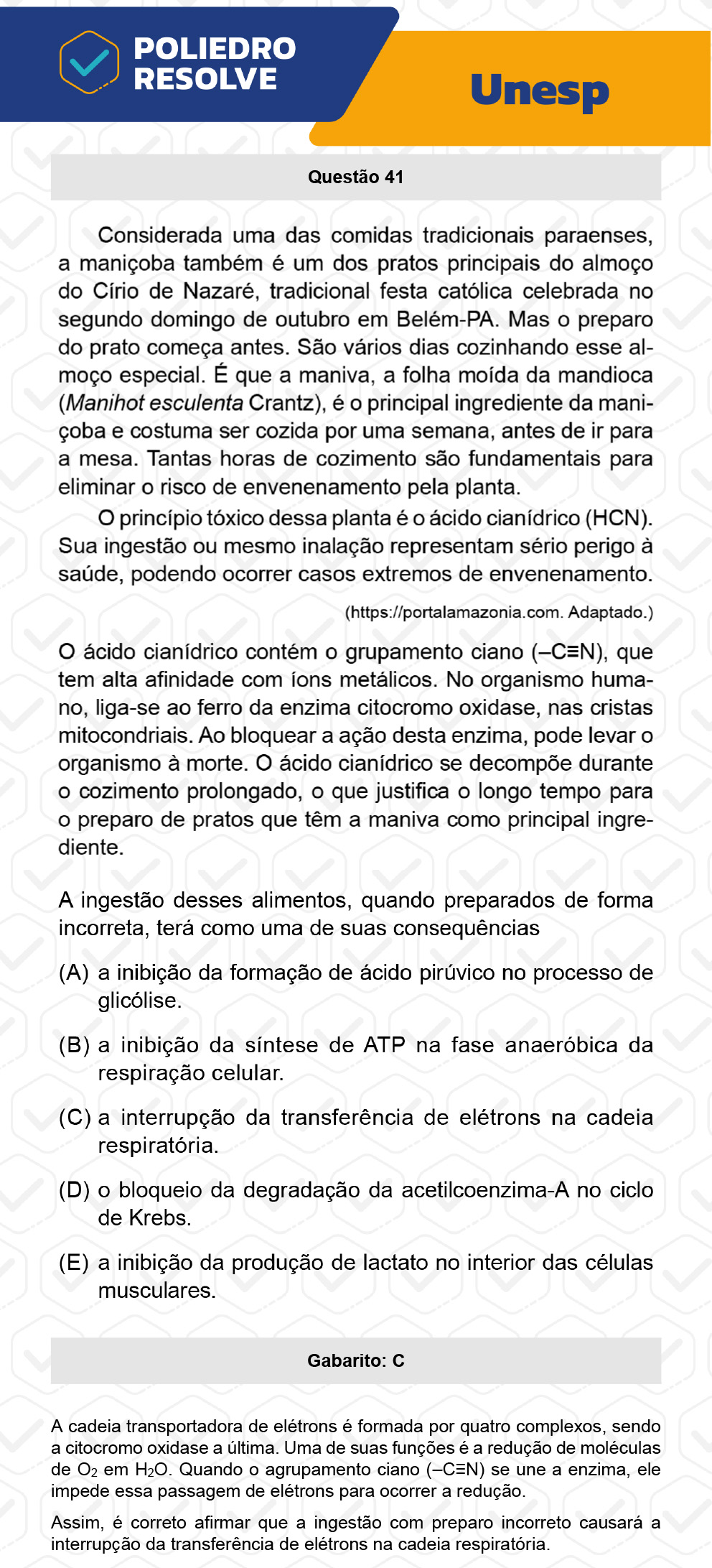 Questão 41 - 2ª Fase - UNESP 2023