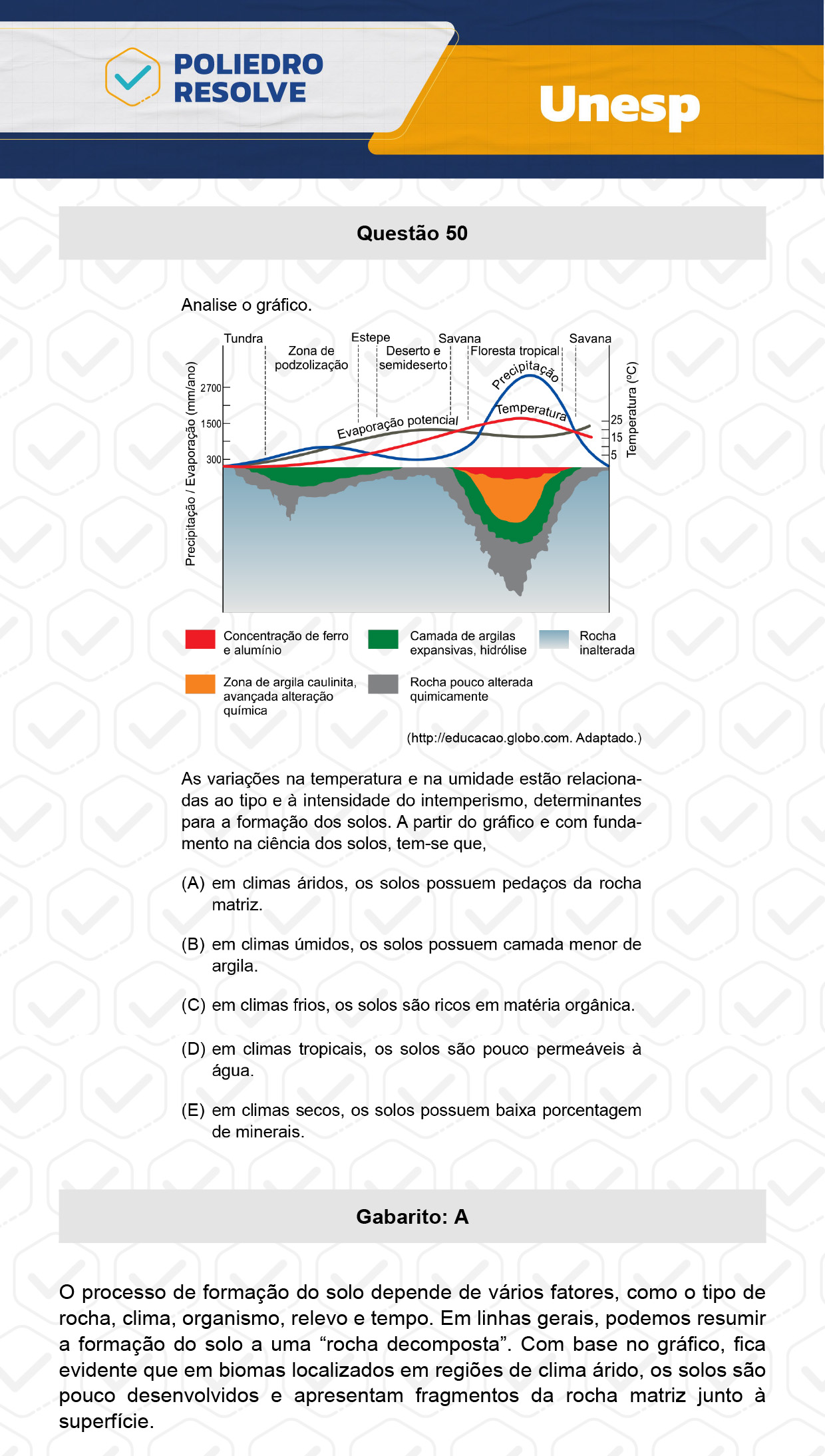 Questão 50 - 1ª Fase - UNESP 2024